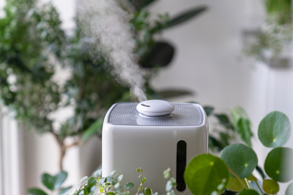 An indoor garden humidifier