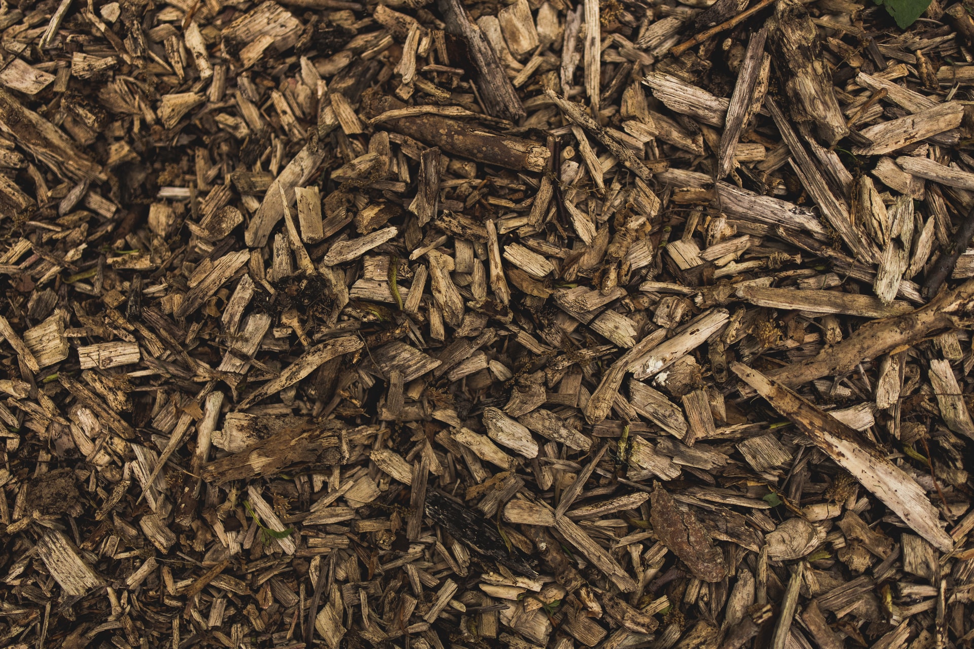 Wood mulch