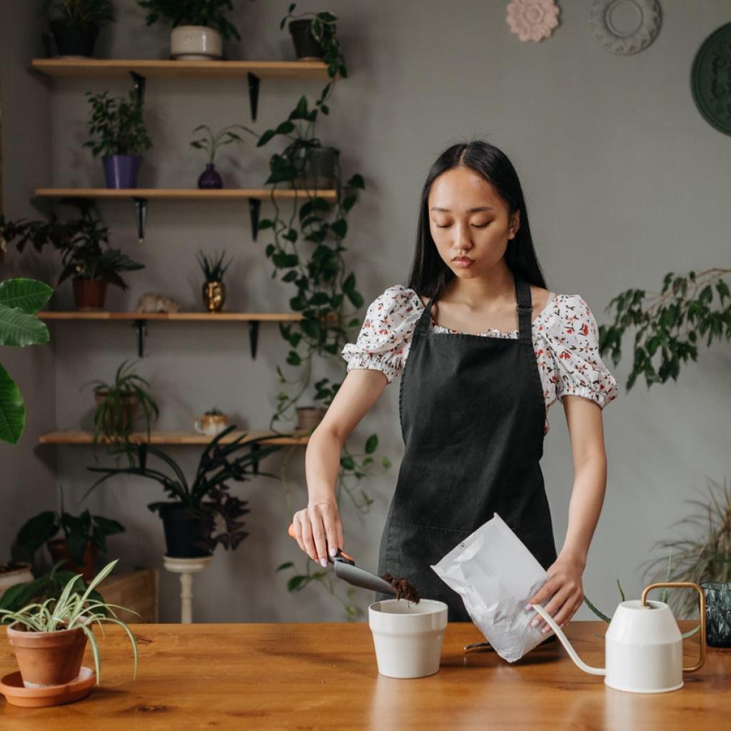 woman caring for plants