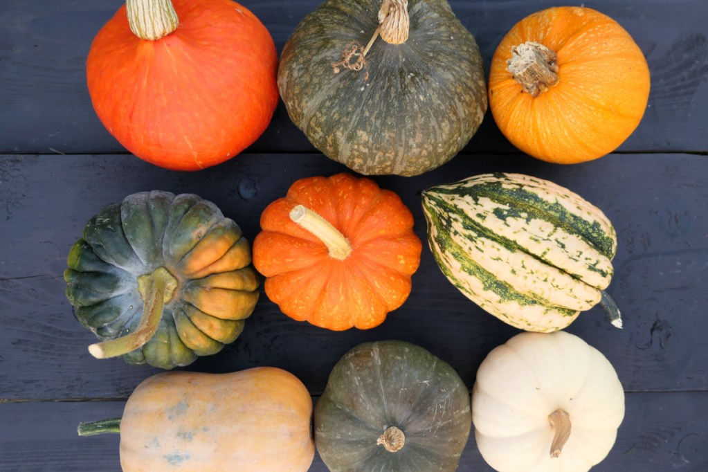 A variety of squash types set on a black table