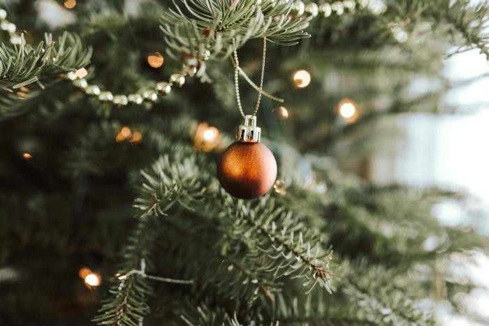 Ornament on a Christmas tree