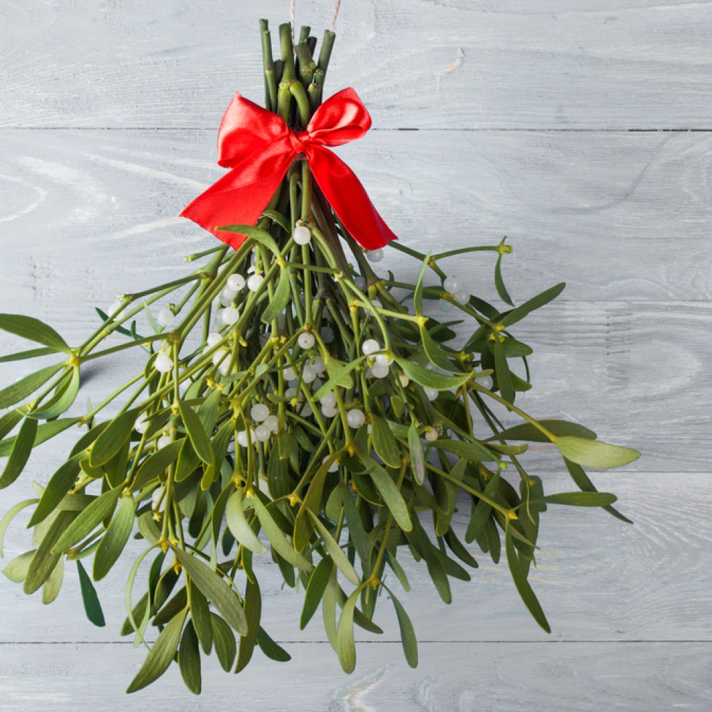 hanging mistletoe decoration
