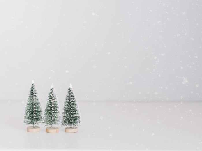 Three little fake Christmas trees