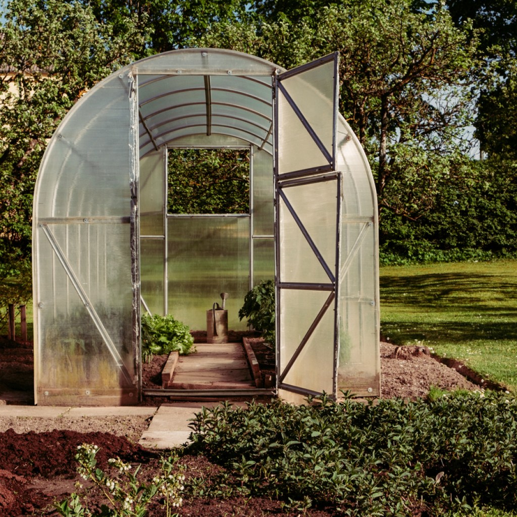 Small rounded greenhouse
