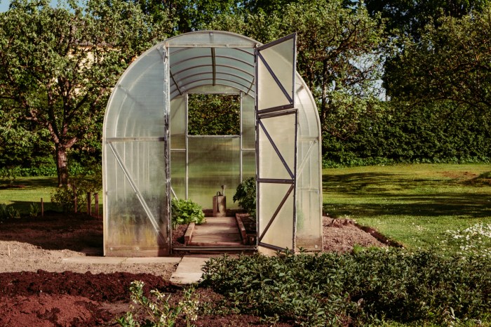 Small rounded greenhouse
