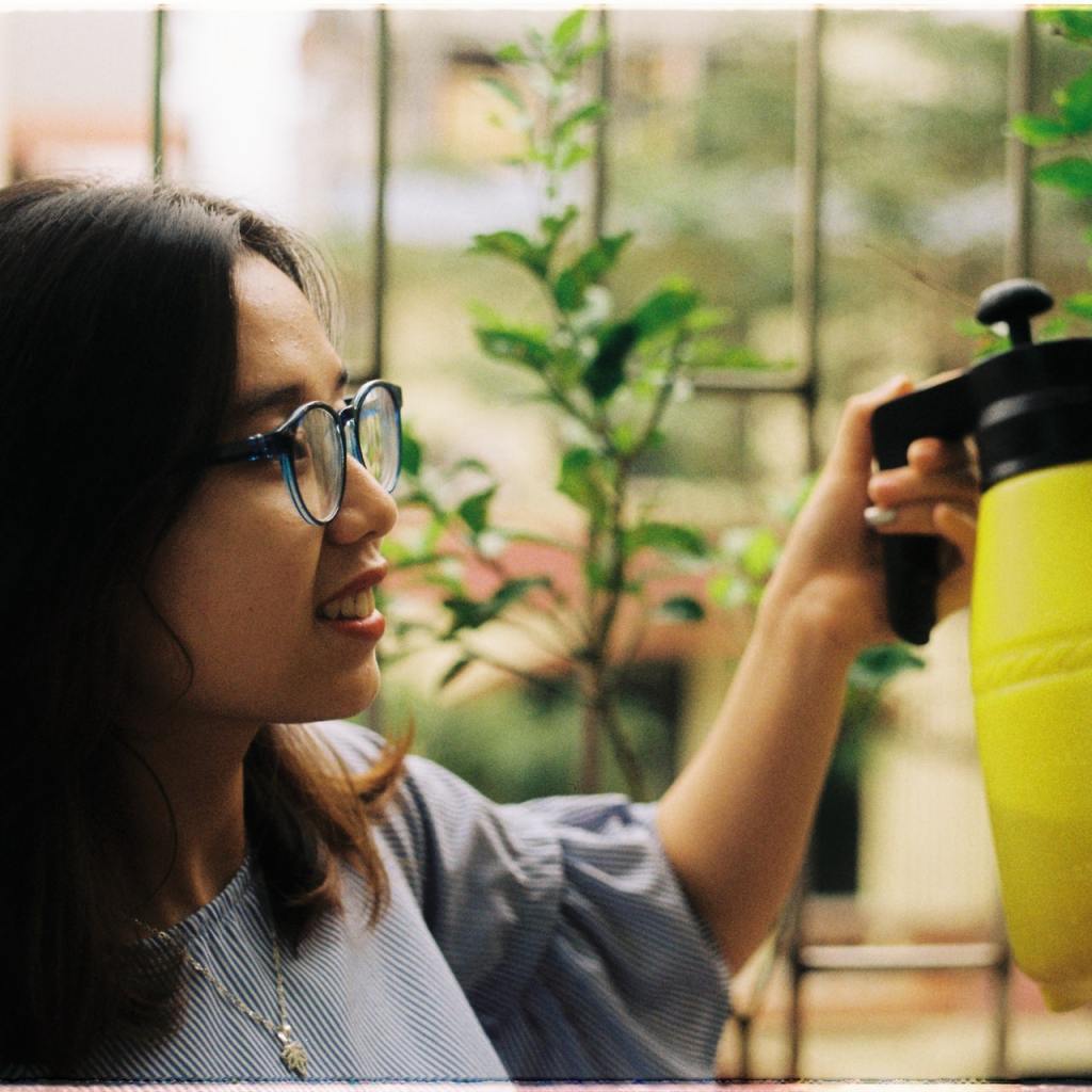 houseplant care