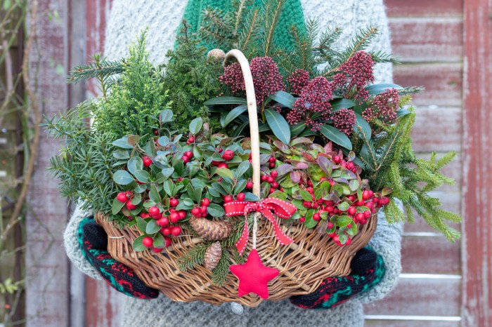 Wintergreen basket