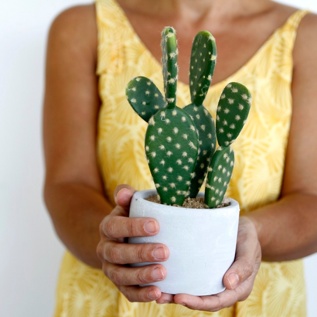 A woman holding a potted cactus