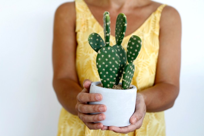 A woman holding a potted cactus