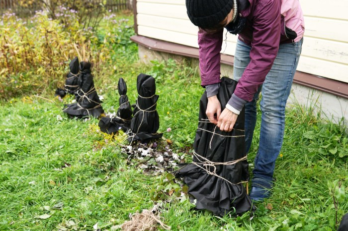 how to protect flowers from cold woman winterizing plants