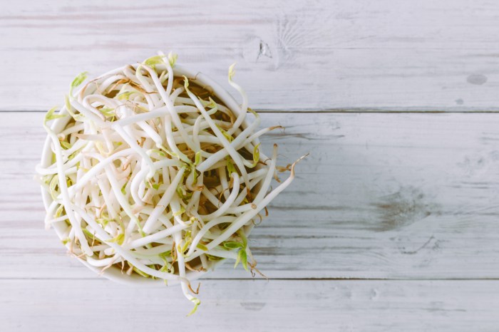 Fresh bean sprouts in a bowl