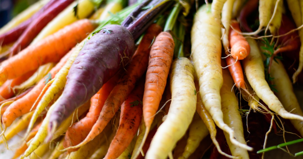 What You Need to Know About Storing Carrots in Water HappySprout