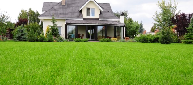 A house with green grass