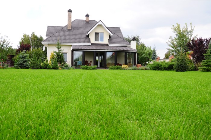 A house with green grass