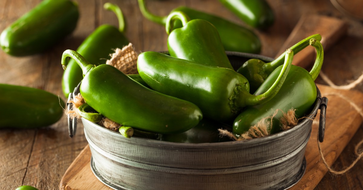 Learn how to grow your own jalapeños from seed HappySprout