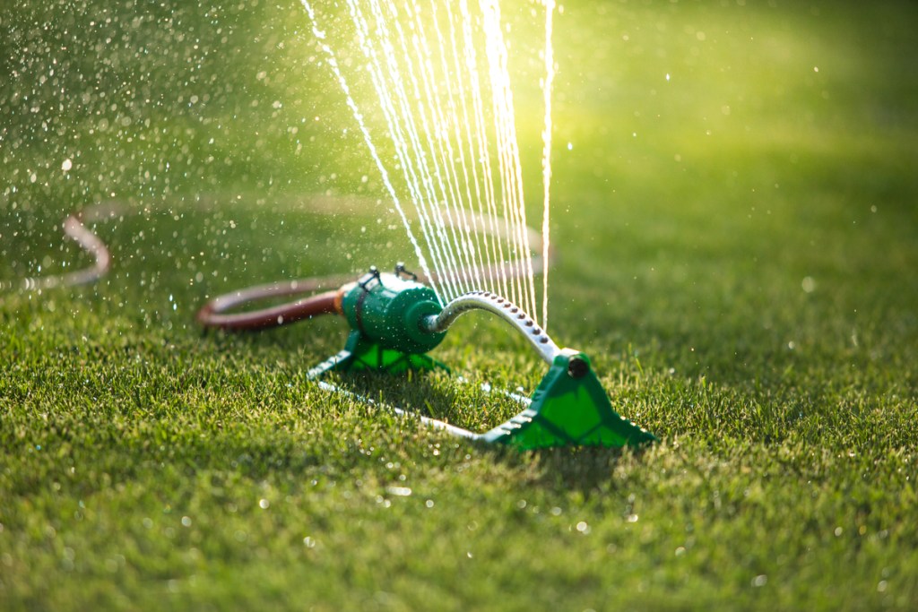 A sprinkler watering a lawn