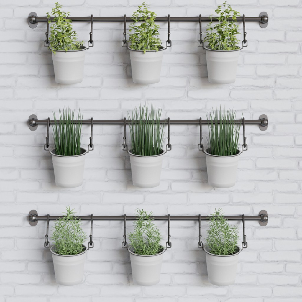 A wall-hanging herb garden