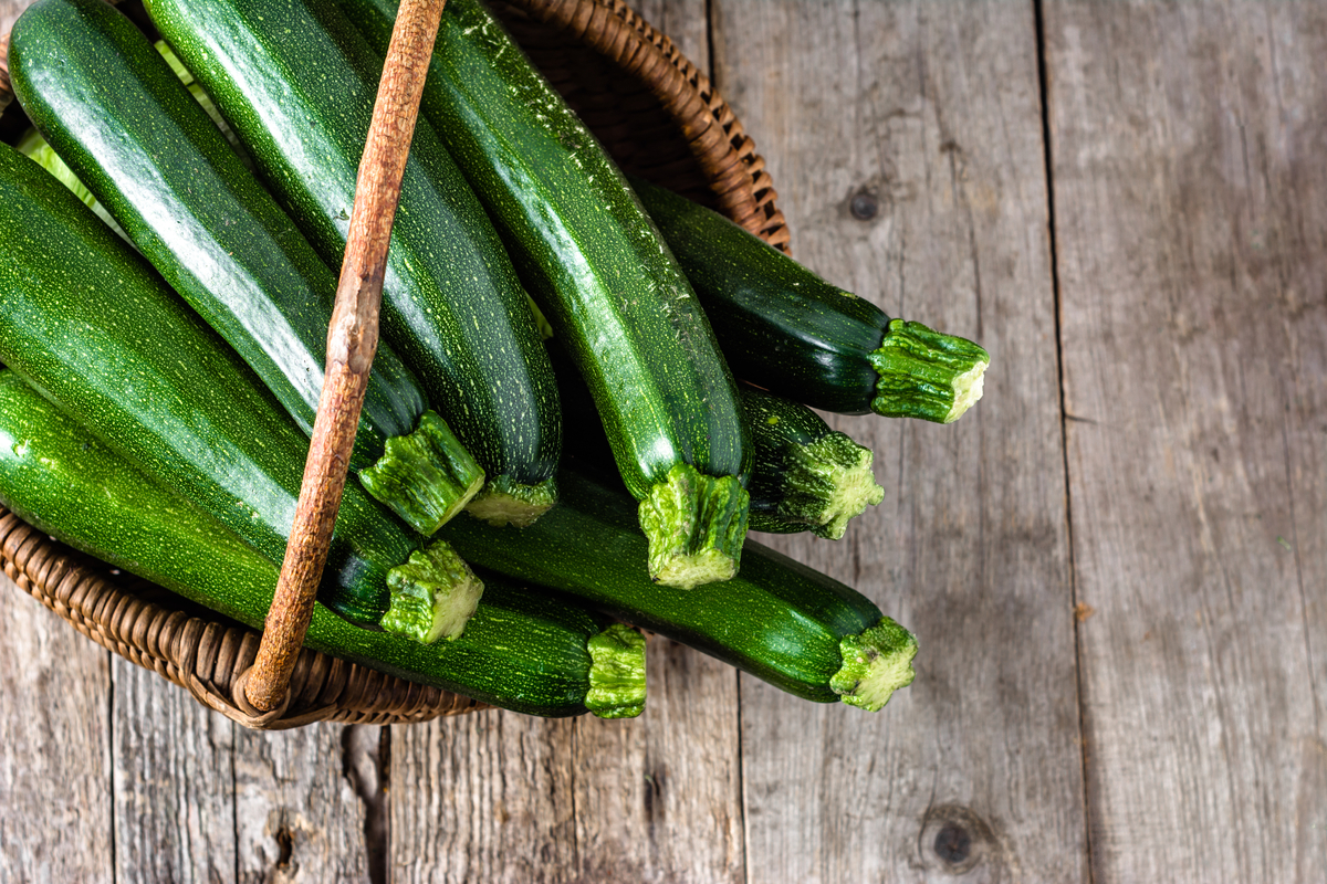 How to Grow and Harvest Zucchini HappySprout