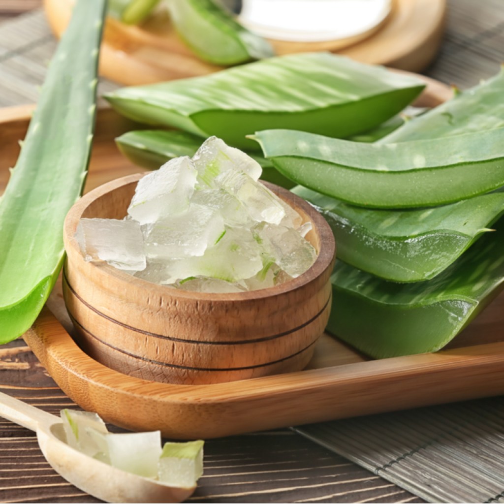 Sliced aloe leaves