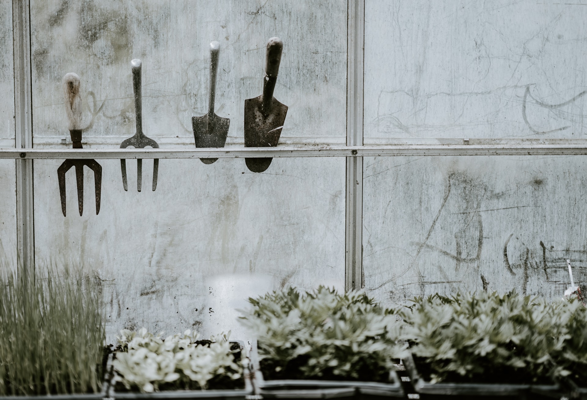 garden tools in greenhouse