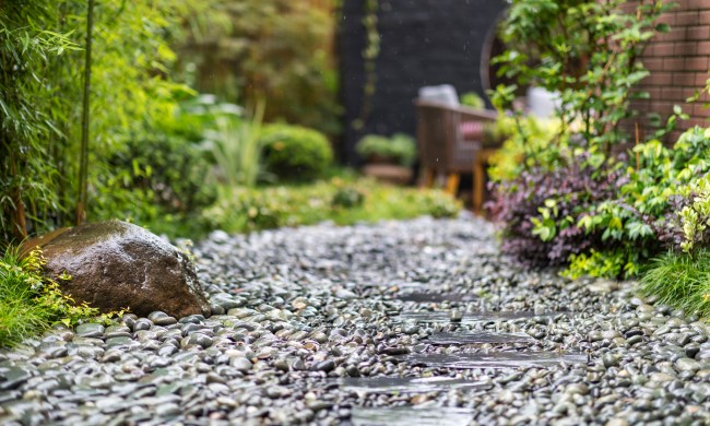 Beautiful rock garden