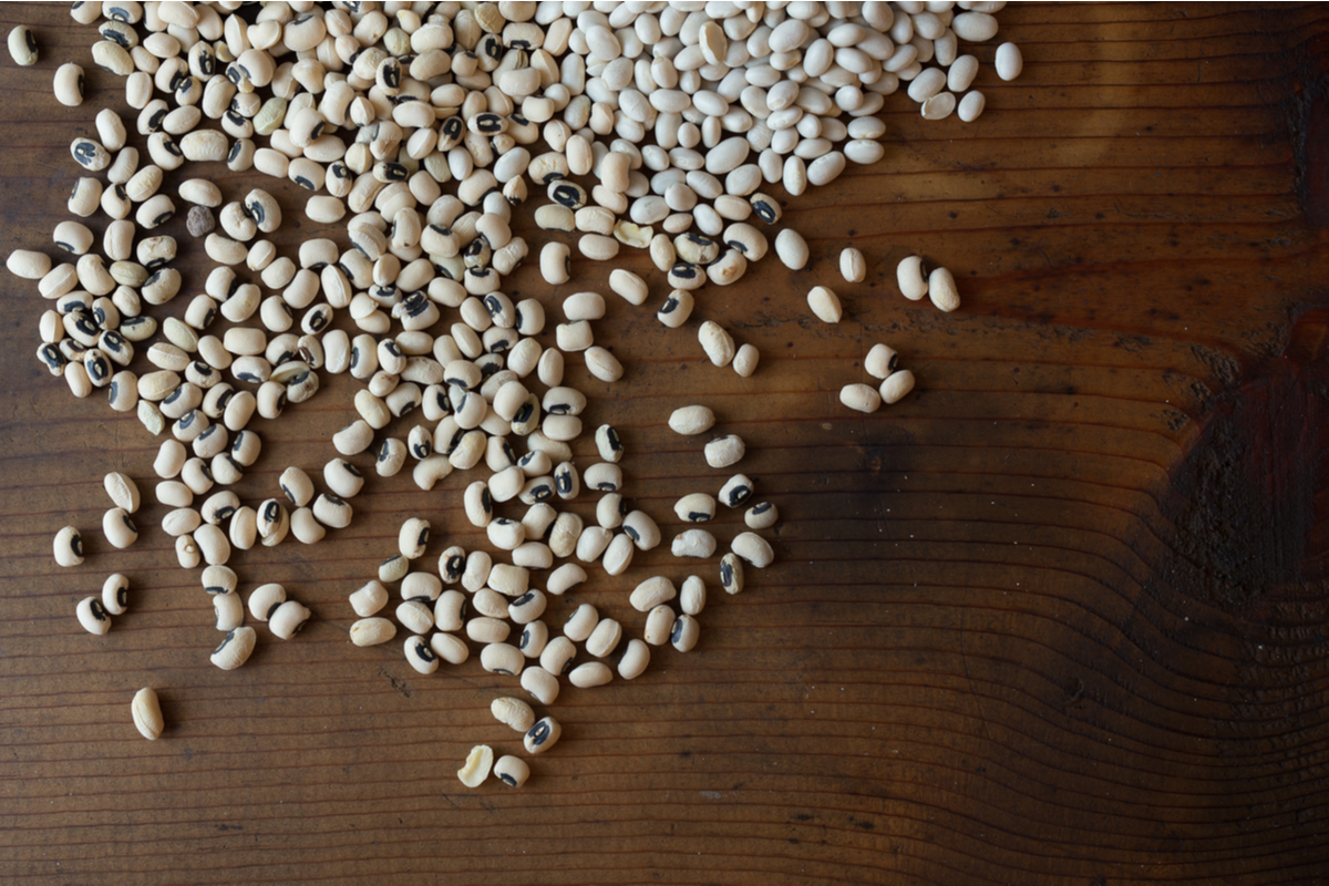 How to Grow BlackEyed Peas HappySprout