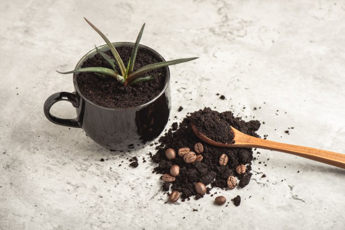 A succulent planted in a silver mug next to a pile of coffee grounds and coffee beans with a spoon on top