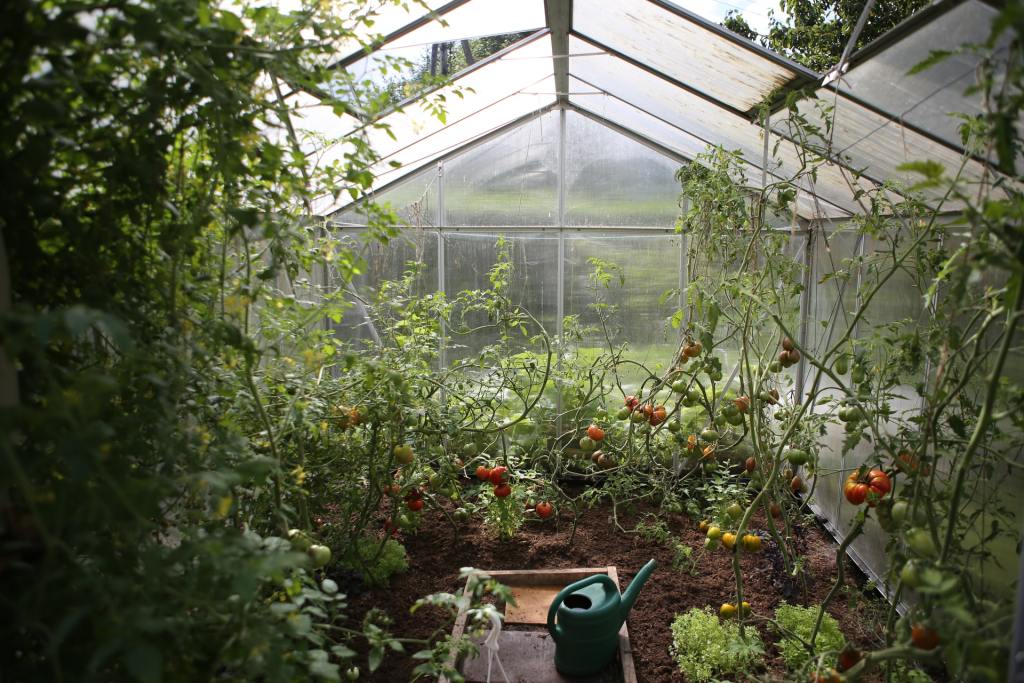 Plants growing in a greenhouse