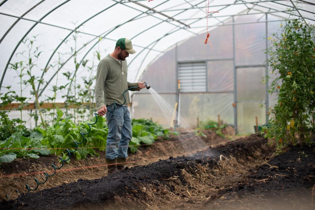 Man watering plants in greenhouse