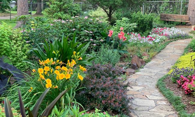 Shady flower garden