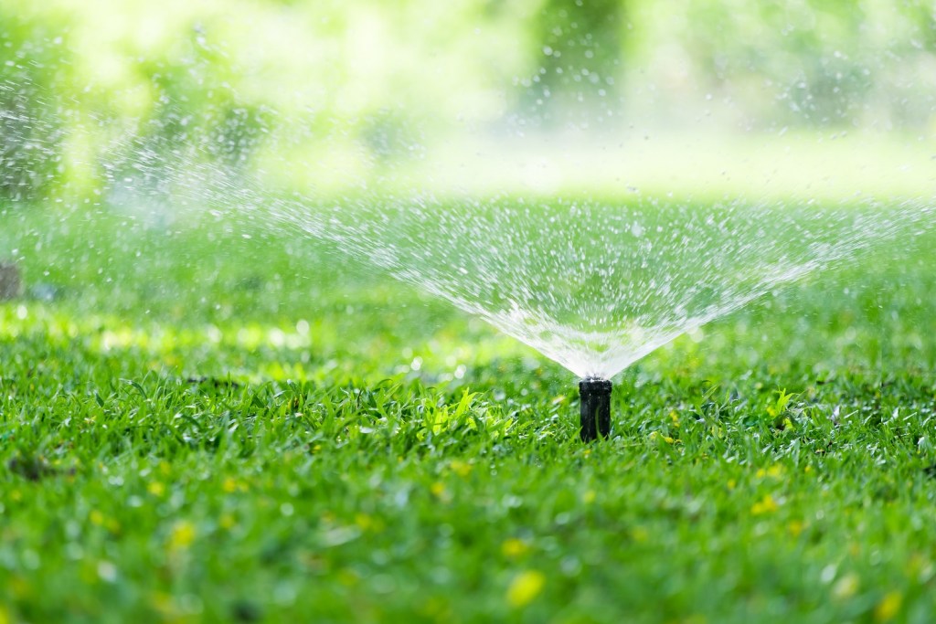 best-lawn-sprinklers-for-your-yard