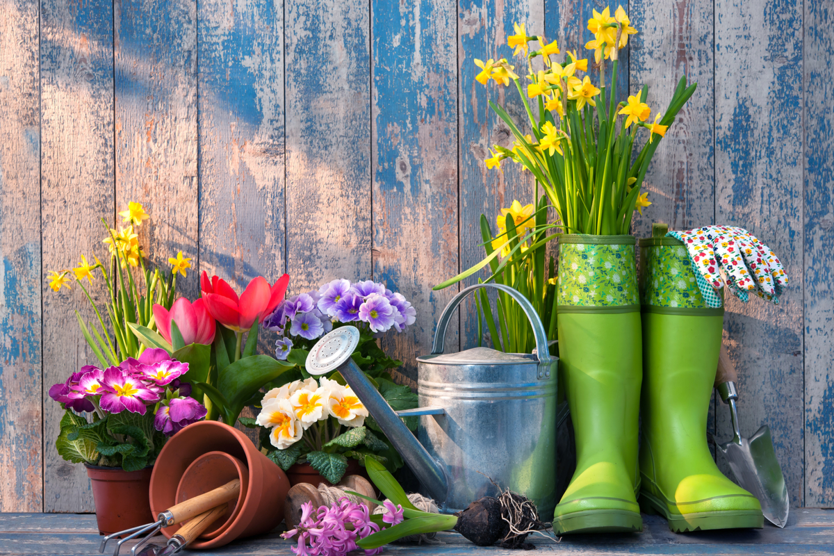 Materials for a spring garden