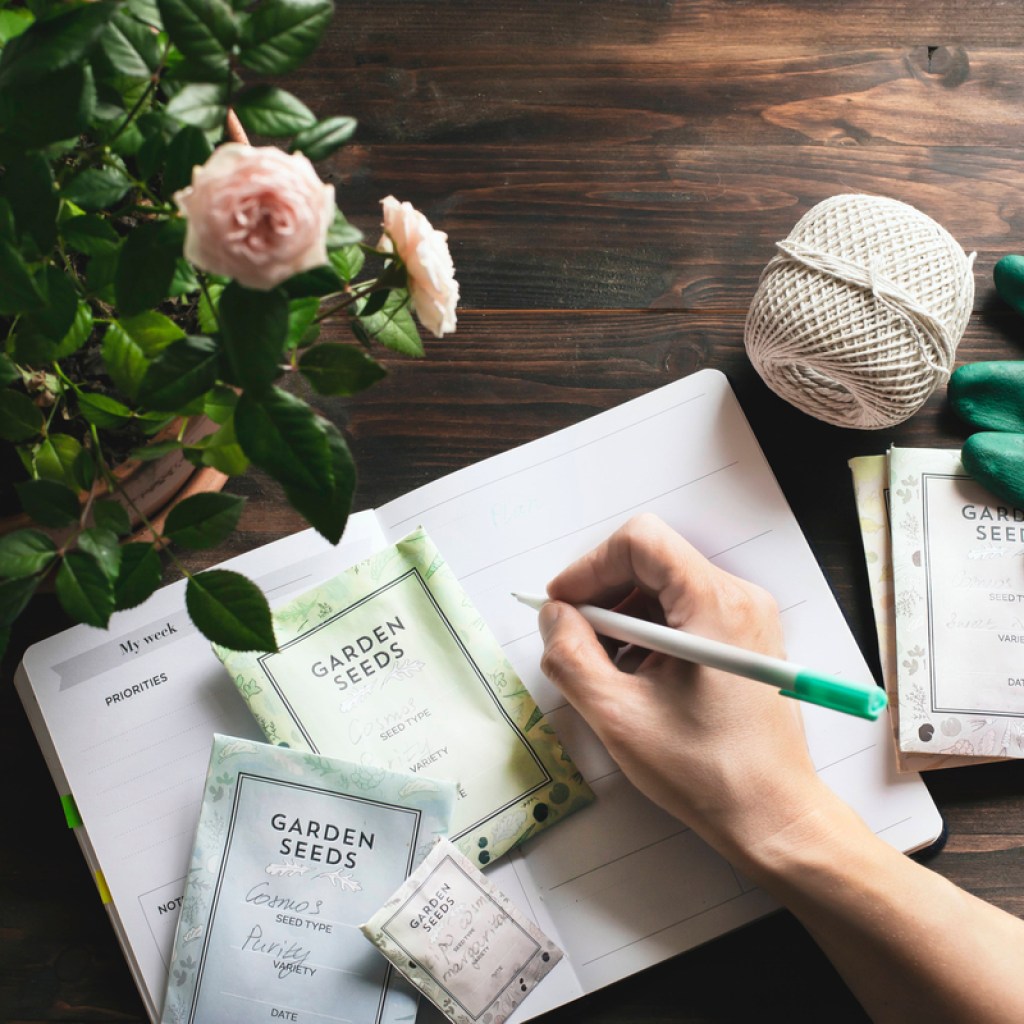 Planning a spring garden