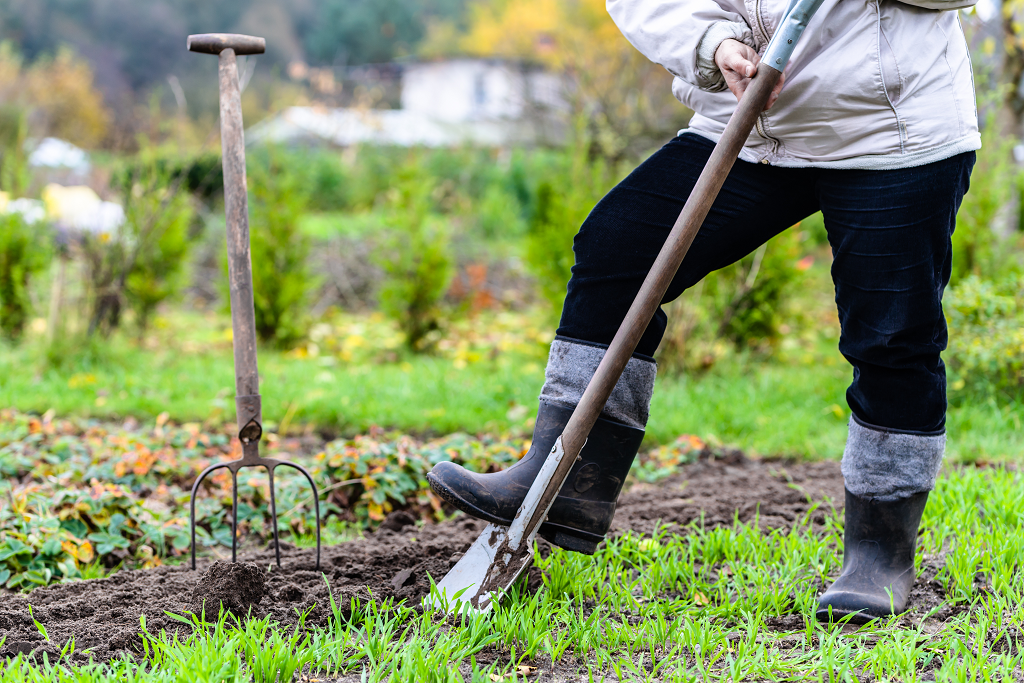 Person digging in garden