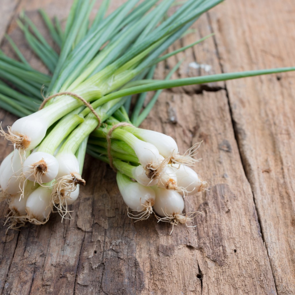 A bunch of freshly harvest spring onions, tied together in a bundle
