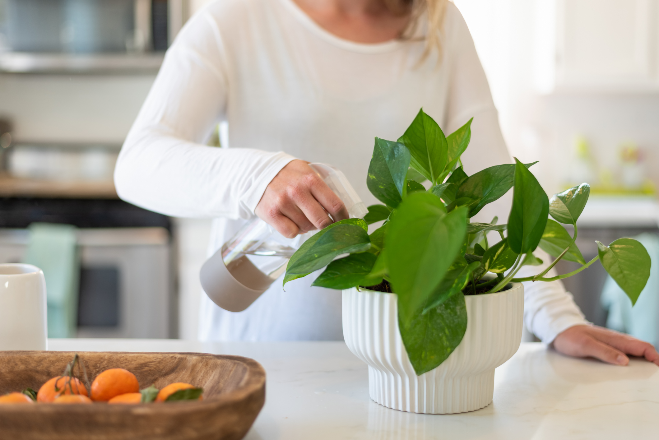 Person misting a pothos