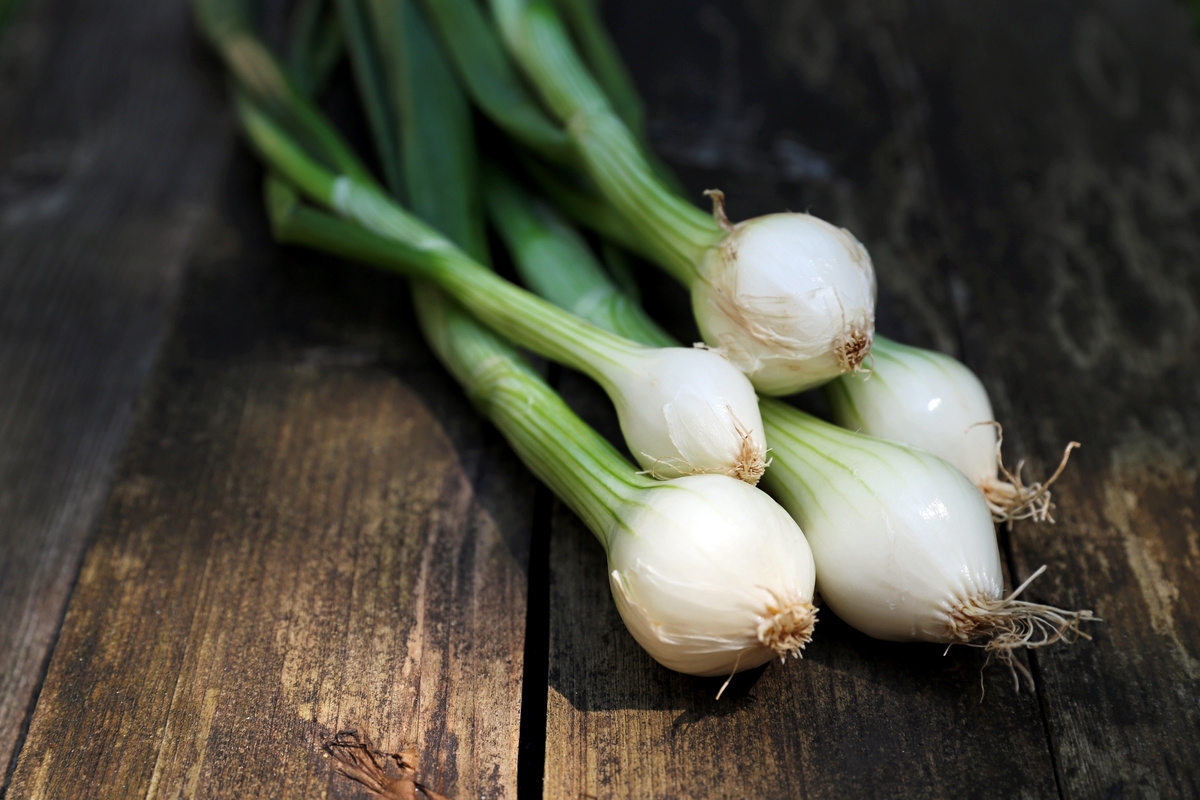A few spring onions sitting on a dark wooden surface
