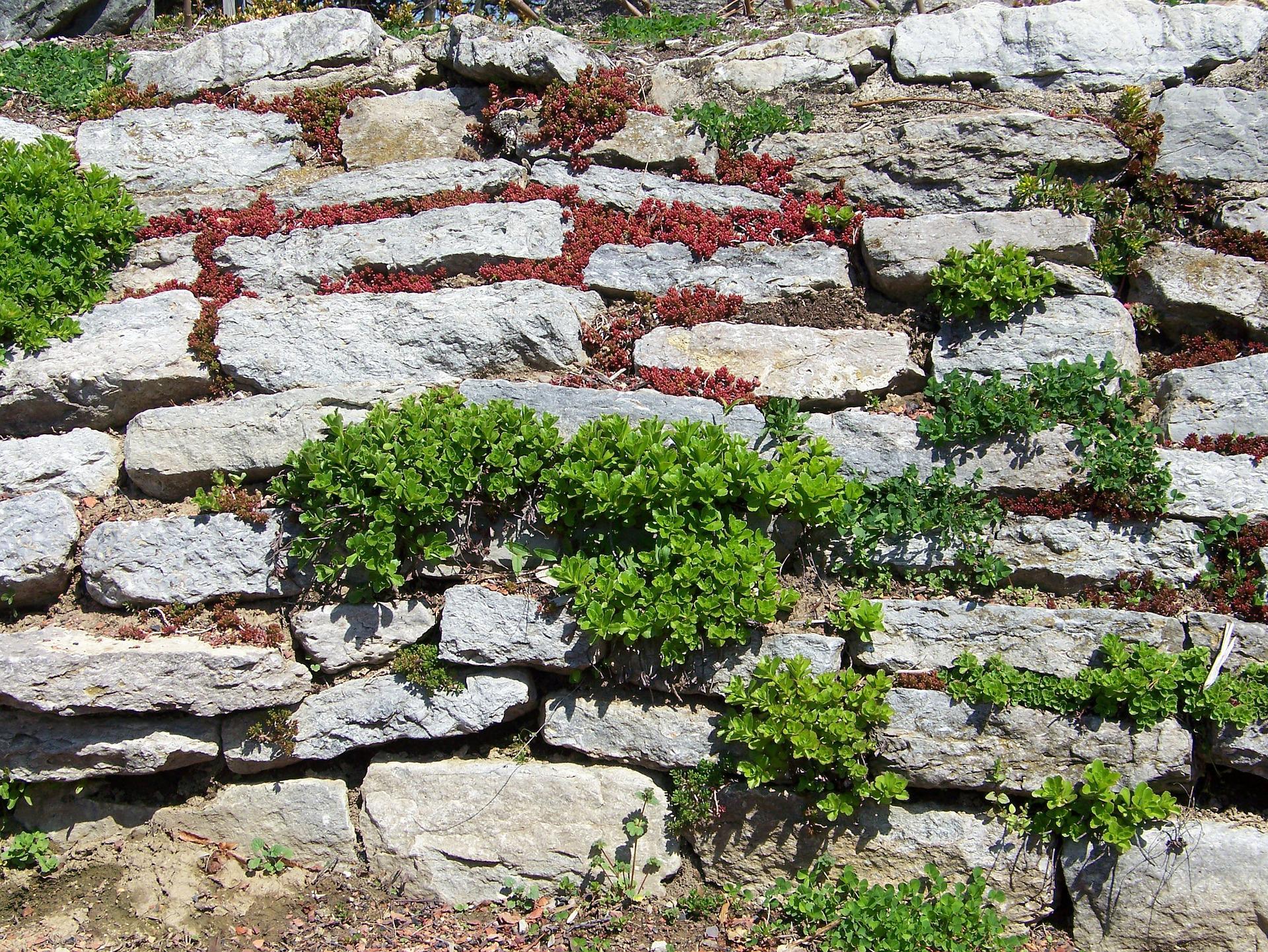 What You Need to Know About Retaining Wall Repair HappySprout