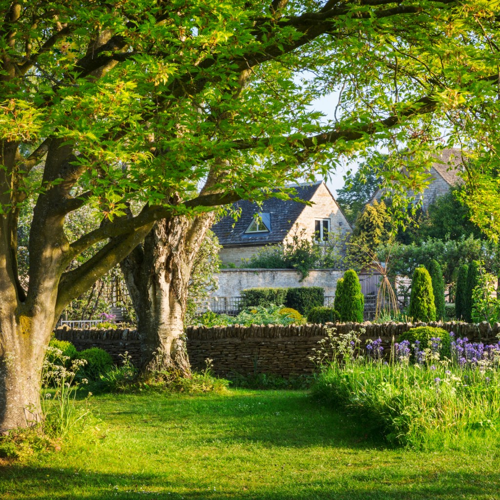 Garden with trees