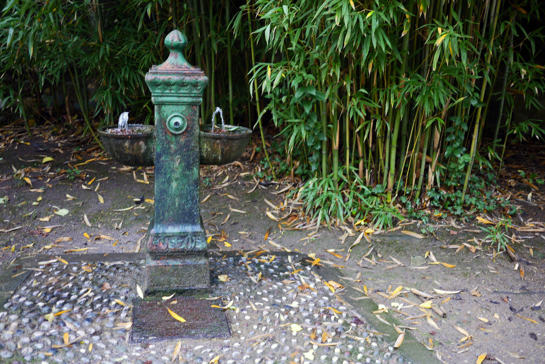 A clump of bamboo growing next to an old metal fountain