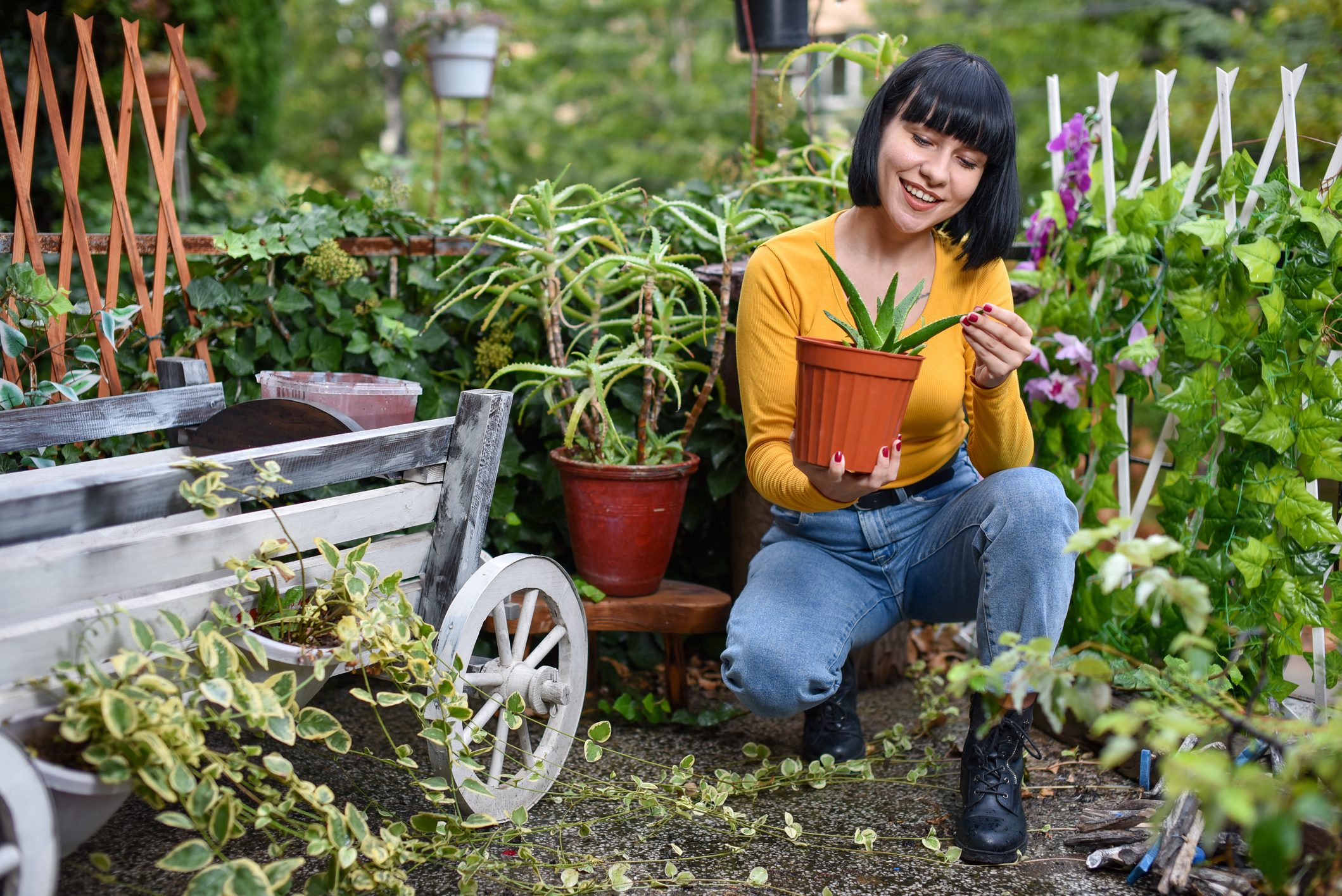Zone 10a Planting Guide HappySprout