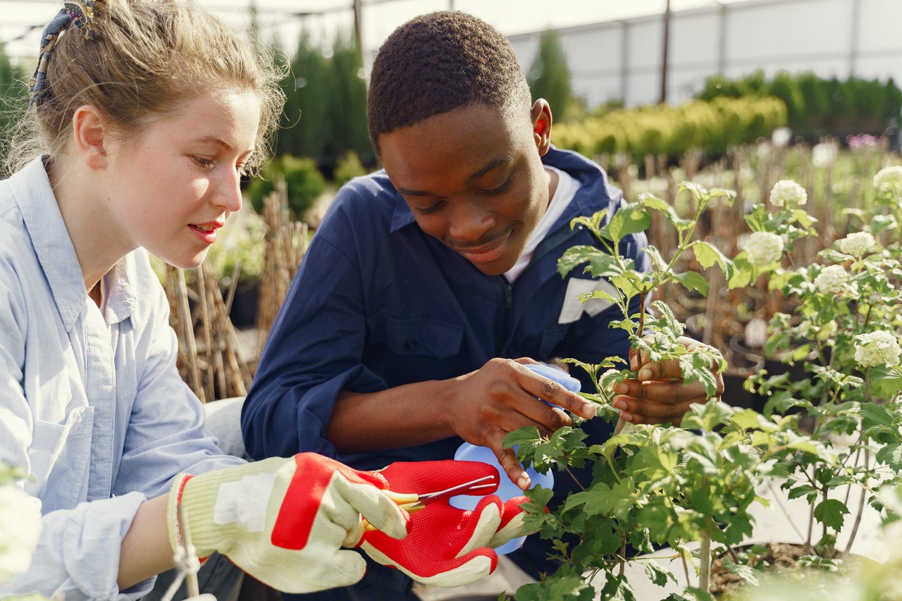 Teens pruning plants