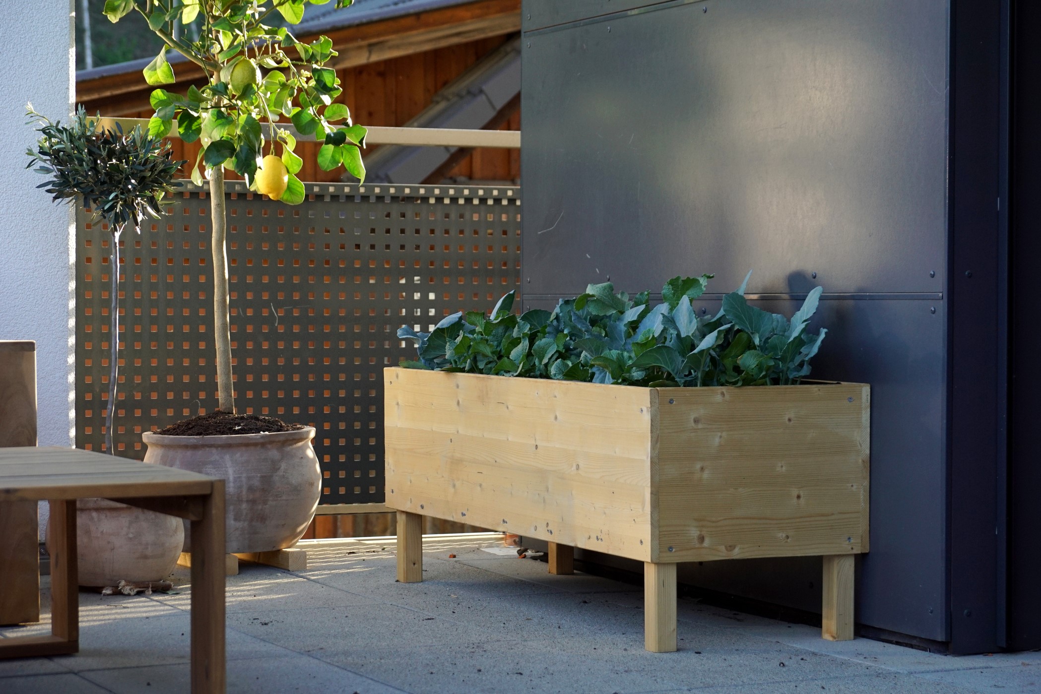 A long, rectangular, raised garden bed with legs, standing against a wall.