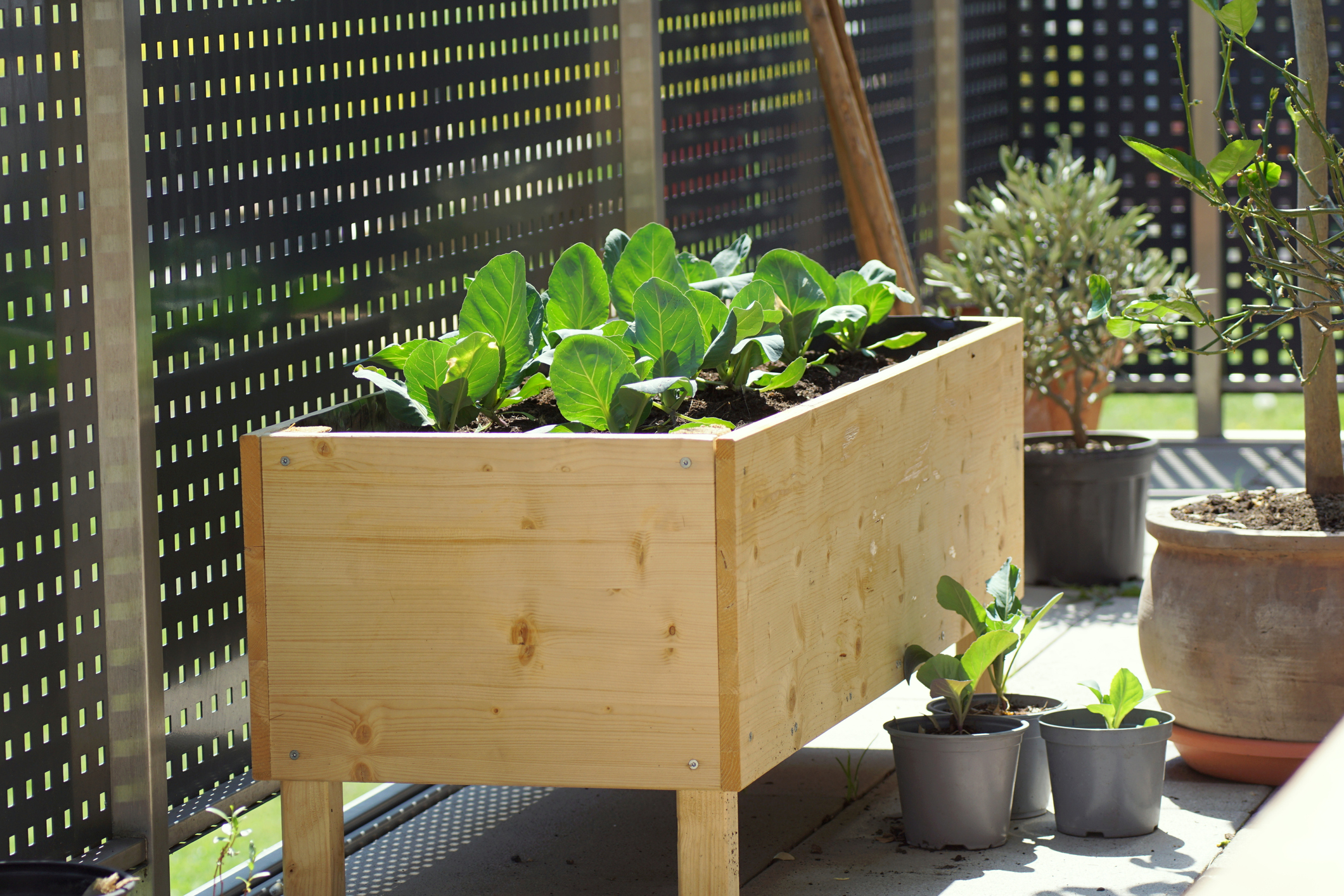 How to Build a Raised Garden Bed With Legs HappySprout