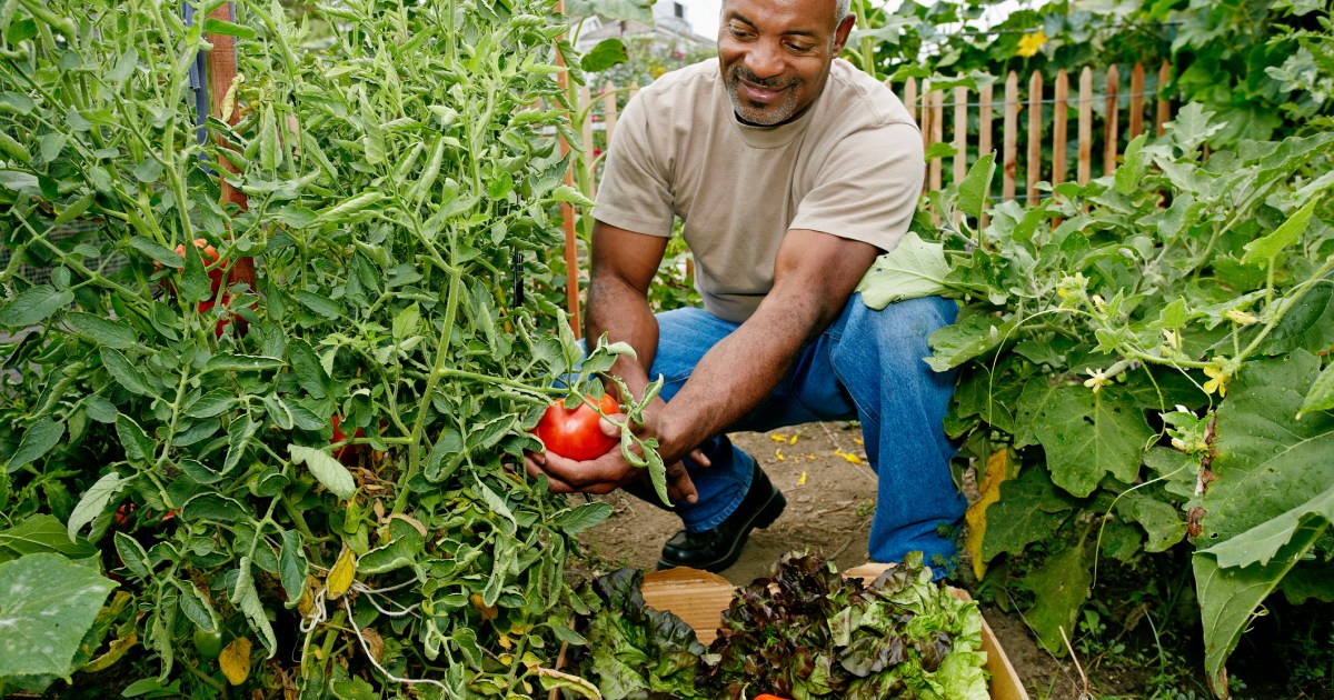 Zone 9b Planting Guide HappySprout