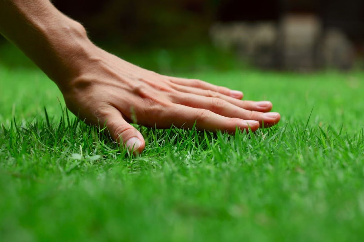 C & K Lawn Care Services Fertilizer On Lawn