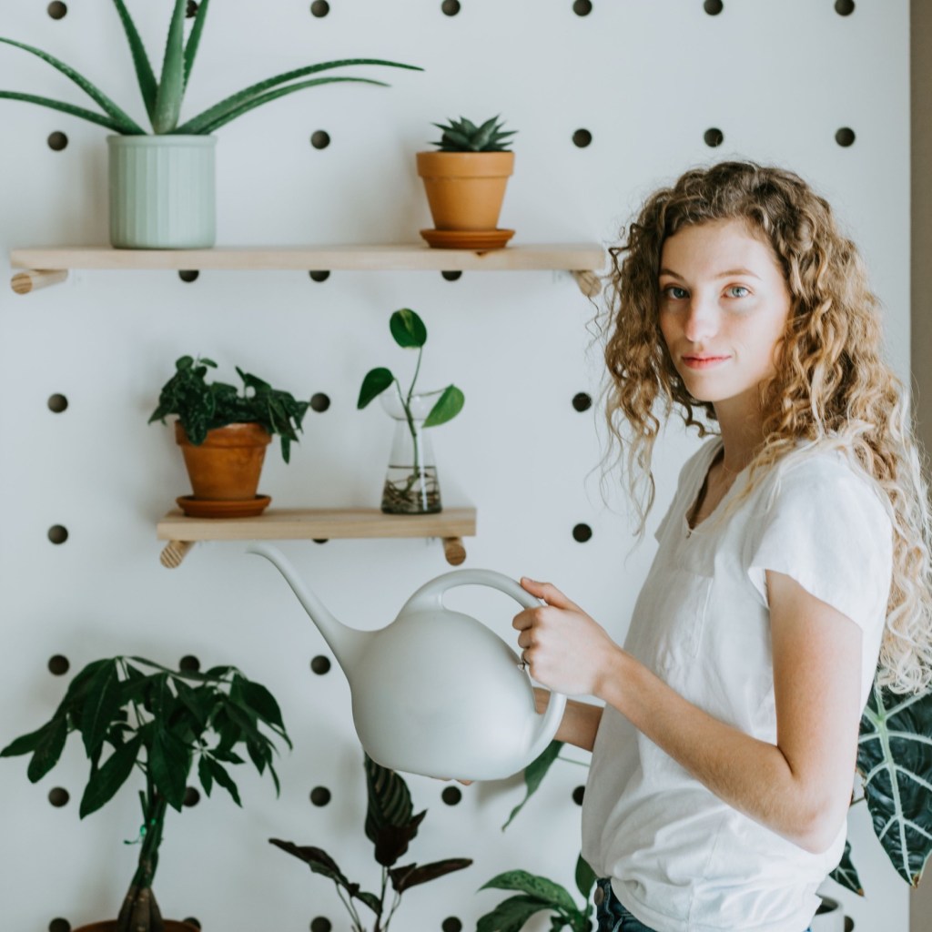 Woman waters ZZ plants