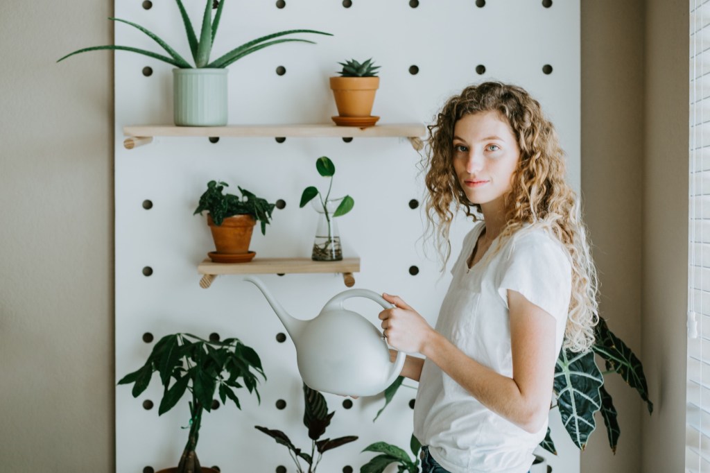 Woman waters ZZ plants