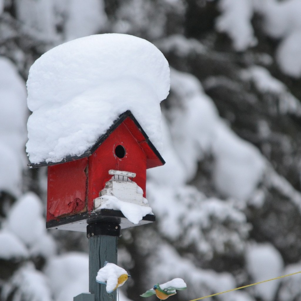 A red birdhouse covered in snow