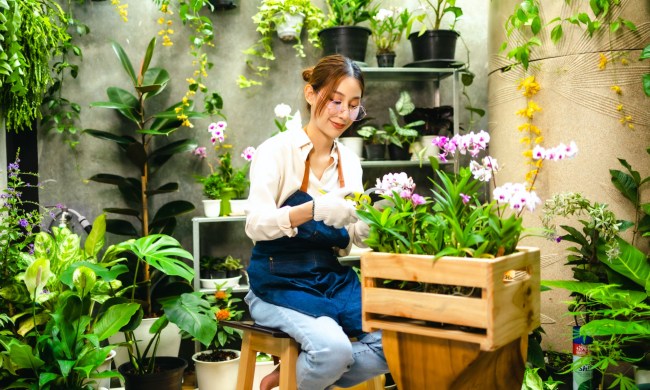 Person tending to orchids in wooden planter